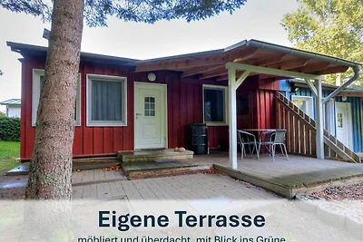 Bungalow 8