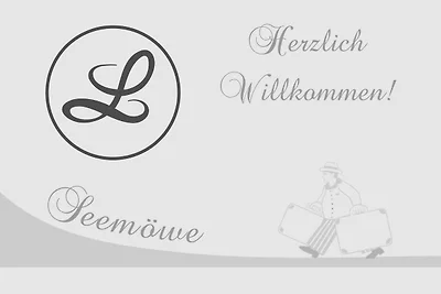 Seemöwe (6)