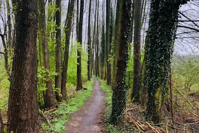 Appartamento Vacanza con famiglia Märkische Heide