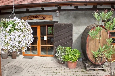 Appartamento Vacanza con famiglia Meersburg