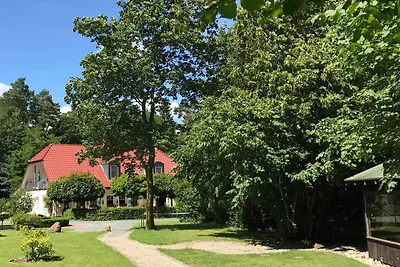 Seeblick I