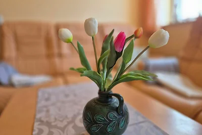 Apartament Dla rodzin Schönfeld