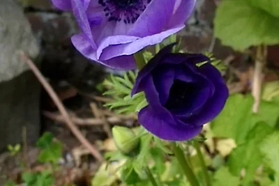 Appartamento Vacanza con famiglia Stade