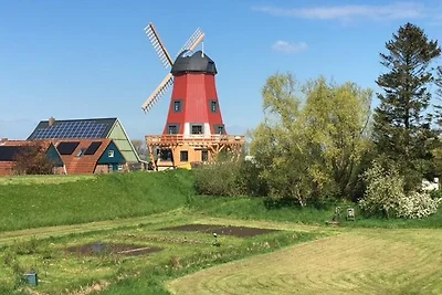 Ferienhaus Mühle