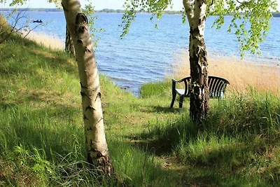 Vakantieappartement Gezinsvakantie Gustow