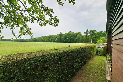 Vakantiehuis Ontspannende vakantie Torgelow am See