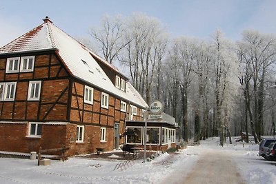 Vakantieappartement Gezinsvakantie Dobbertin