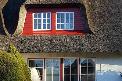 Casa vacanze Vacanza di relax Nieblum