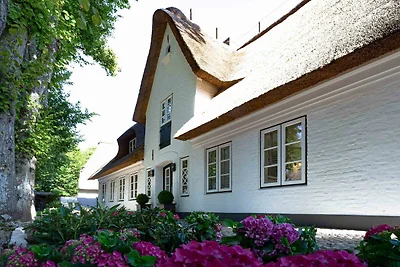 Vakantiehuis Ontspannende vakantie Nieblum