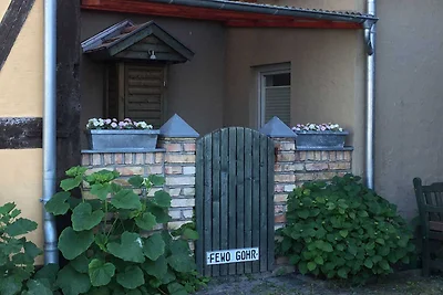 Ferienwohnung Ostwind 1 mit kleiner Terrasse