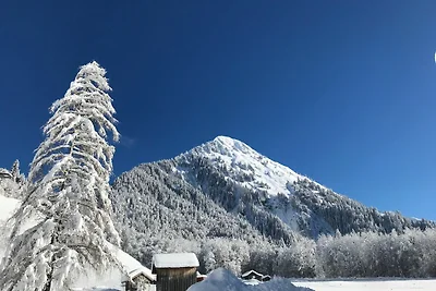 Vakantieappartement Gezinsvakantie Schoppernau