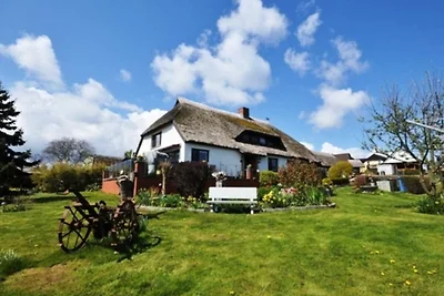 Vakantieappartement Gezinsvakantie Middelhagen