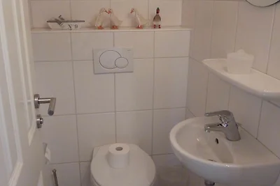 Albergo Cultura ed escursioni Butjadingen