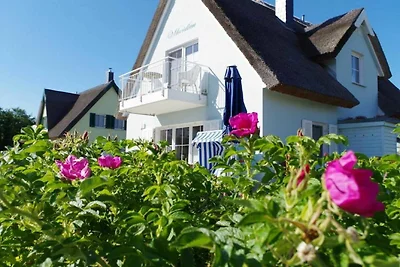 Reetdachhaus Meridian