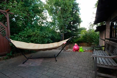 Vakantieappartement Gezinsvakantie Hoffeld