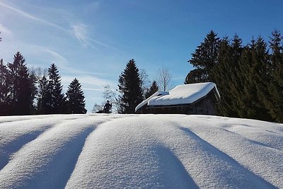 Appartamento Vacanza con famiglia Alberschwende