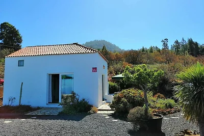 Vakantiehuis Ontspannende vakantie Garafia