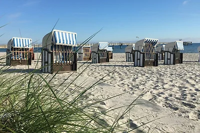 Schwarzer Bär Whg. Bär 01