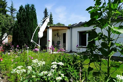 Bungalow Heidi Objekt-ID 157134