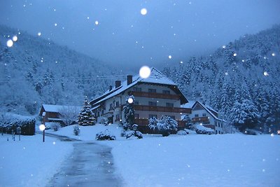 Ferienwohnung Talblick