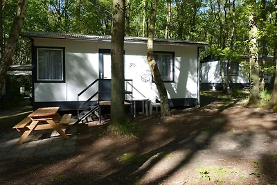 Hôtel Vacances culturelles Dranske