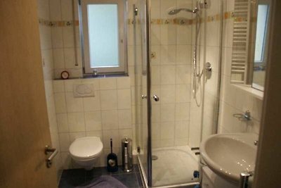 Vakantieappartement Gezinsvakantie Michelstadt