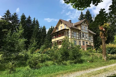 Vakantieappartement Gezinsvakantie Benneckenstein