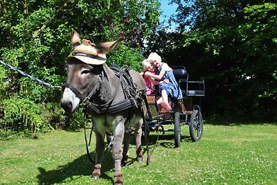 Vakantieappartement Gezinsvakantie Brodersby