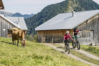 Vakantieappartement Gezinsvakantie Mellau