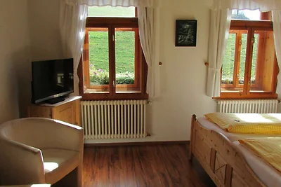 Albergo Cultura ed escursioni Klingenthal