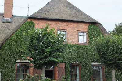 Vakantieappartement Gezinsvakantie Nieblum