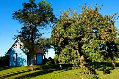 Casa vacanze Vacanza di relax Saal in Vorpommern