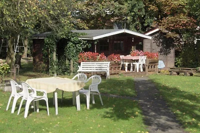 Ferienwohnung Wangerooge, Ferienhof Alleenhof