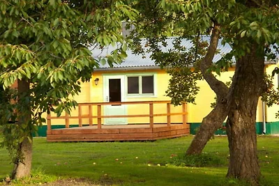 Casa vacanze Vacanza di relax Saal in Vorpommern