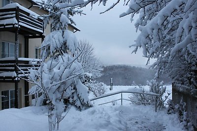 Vakantieappartement Gezinsvakantie Ilmenau