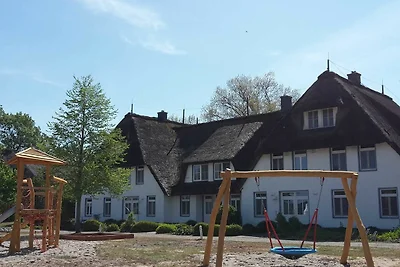 Hotel Cultuur en bezienswaardigheden Stolpe auf Usedom