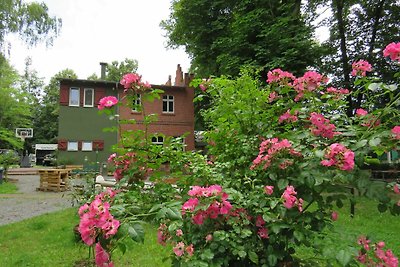 Hotel cultural and sightseeing holiday Dessau-Roßlau