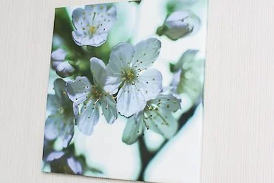 Ferienwohnung Sanddorn