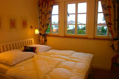 NIXE WLAN SAUNA KAMIN HAUSTIERE