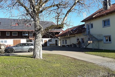 Vakantieappartement Gezinsvakantie Markdorf