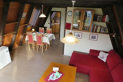 Albergo Cultura ed escursioni Hollern-Twielenfleth