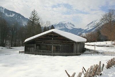 Vakantieappartement Gezinsvakantie Au in Vorarlberg