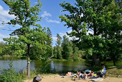 Vakantiehuis Ontspannende vakantie Harzgerode