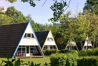Nurdach Ferienhaus