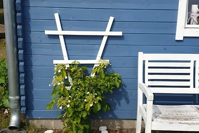 Vakantieappartement Gezinsvakantie Trassenheide