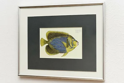 Apartament Dla rodzin Neuharlingersiel