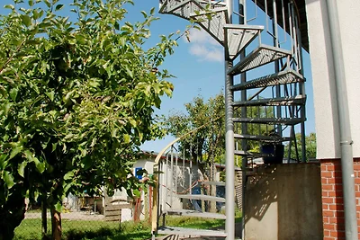 Ferienwohnung mit Gartenterrasse