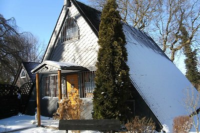 Vakantiehuis Ontspannende vakantie Schönhagen