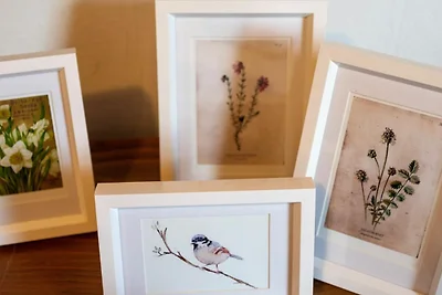 Albergo Cultura ed escursioni Bad Dürrheim