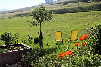 Vakantiehuis Ontspannende vakantie Steinbach am Attersee